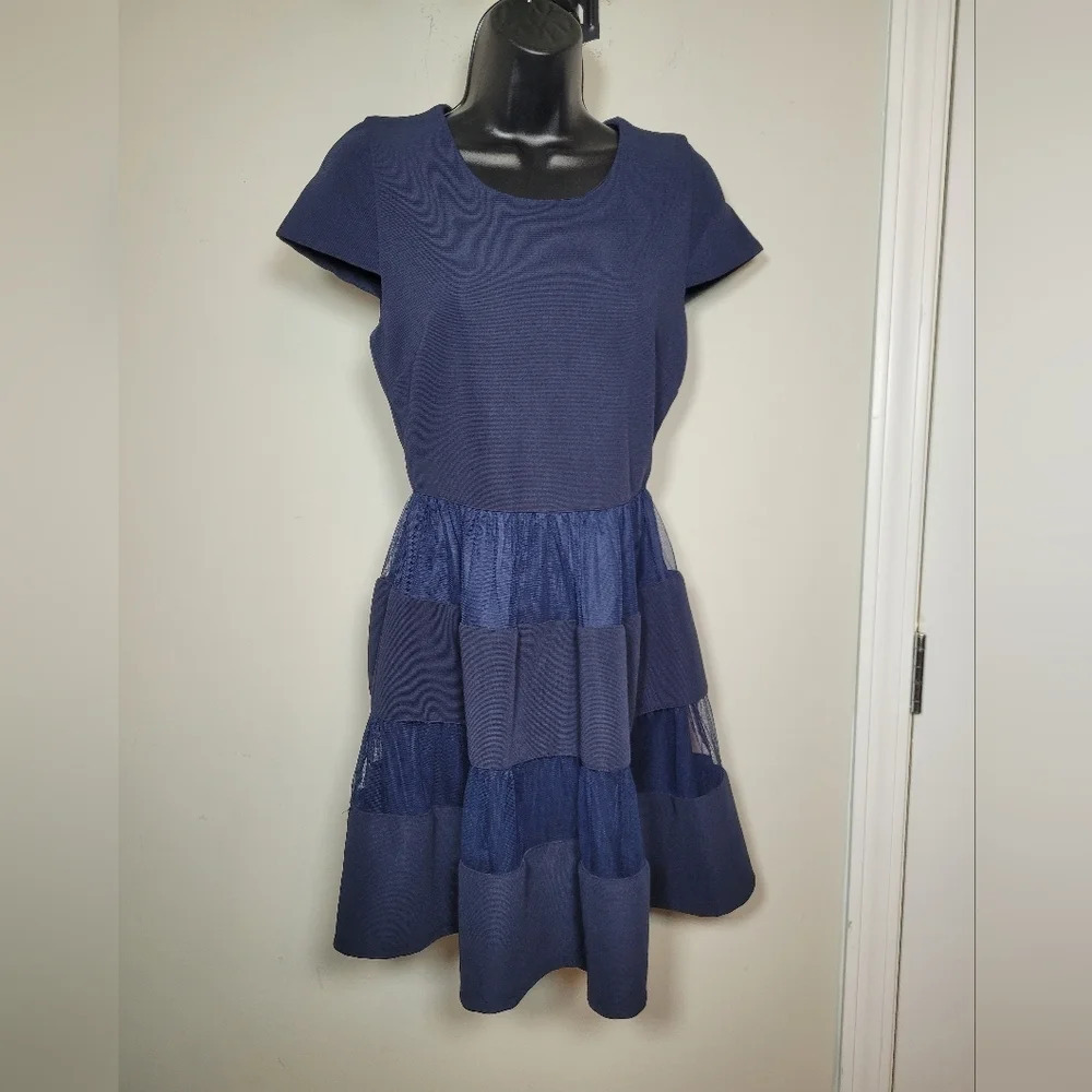 Anthropologie Birdcage Lace Panel Blue Midi Dress sz S